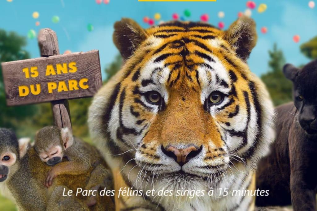 Cocon A La Campagne - Disney 20 Min - Paris 40 Min - 2 Terrasses Dammartin-sur-Tigeaux Bagian luar foto
